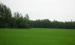 Centre's land